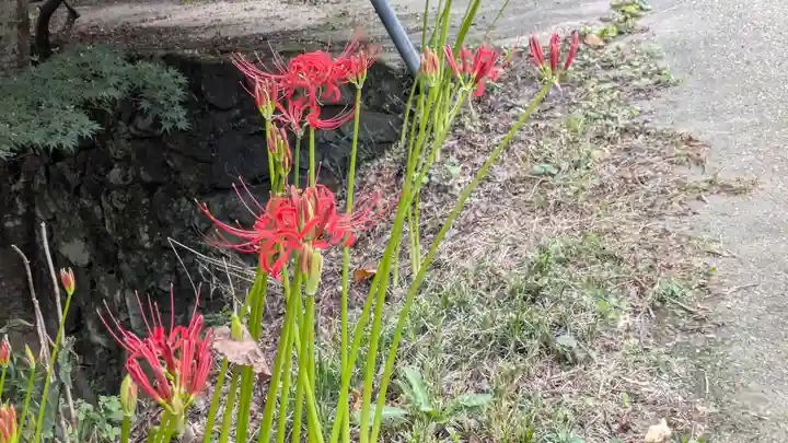 寂光院(京都府)