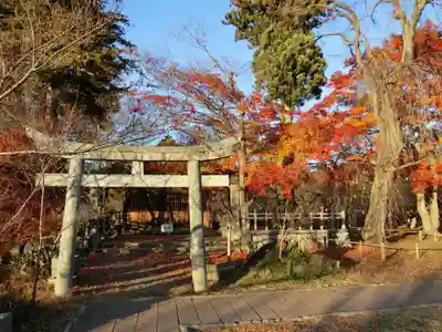 新城藤原神社の鳥居