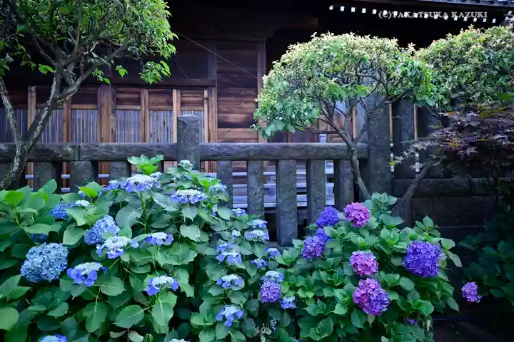 白山神社の庭園