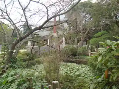 東勝寺宗吾霊堂の庭園