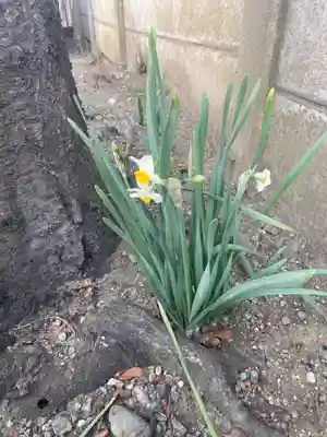 長泉寺(神奈川県)