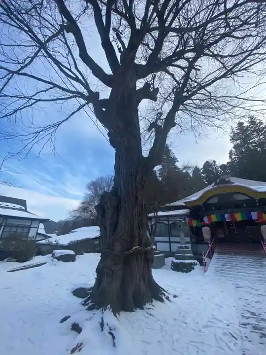 成田山安養寺の自然