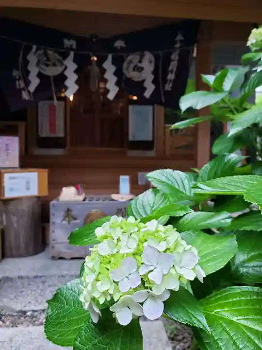 五十稲荷神社(栄寿稲荷神社)(東京都)