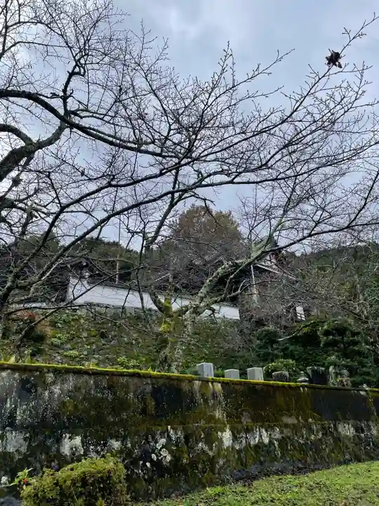 聖林寺(奈良県)