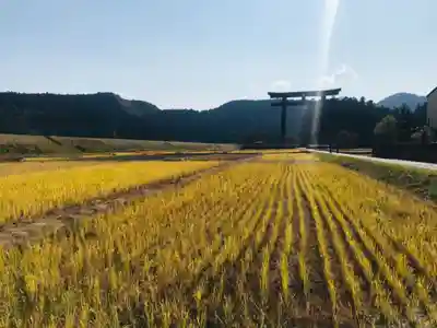 大斎原(熊野本宮大社旧社地)の周辺