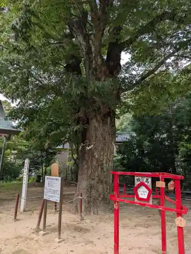 長田神社(鳥取県)