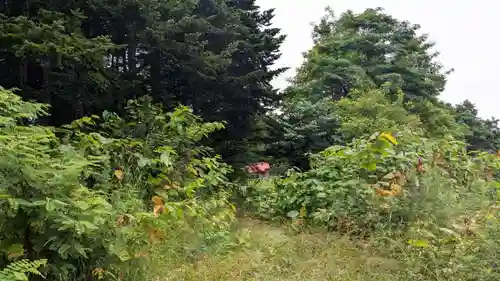 本郷神社の自然