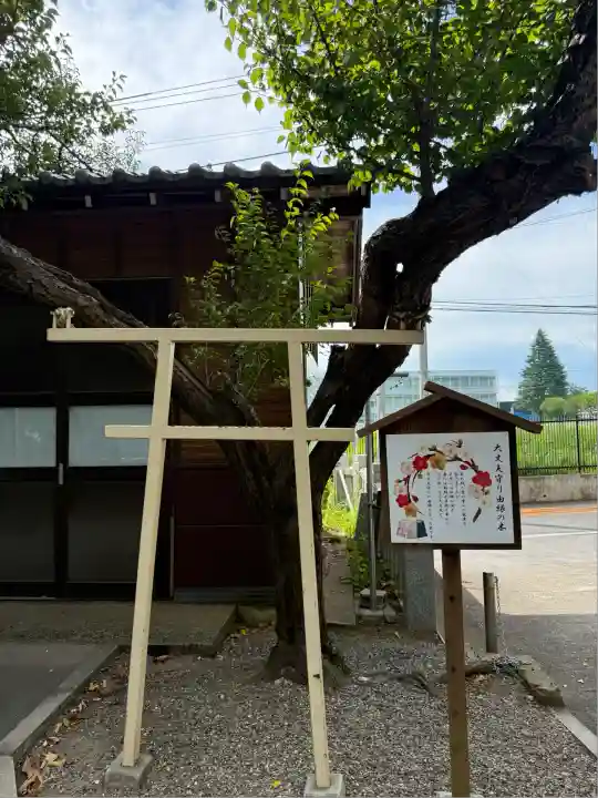 大宮・大原神社(千葉県)