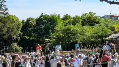 賀茂別雷神社(上賀茂神社)(京都府)