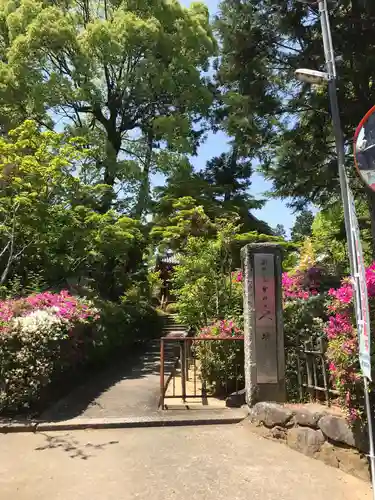 久米寺の庭園