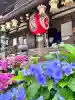 柳谷観音 楊谷寺(京都府)