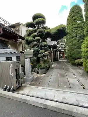 常泉院(東京都)