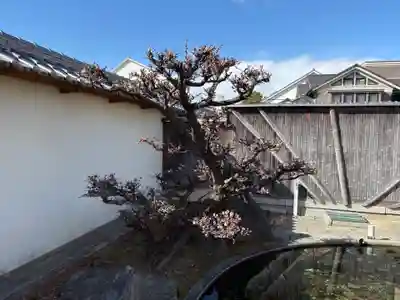 金剛院(兵庫県)