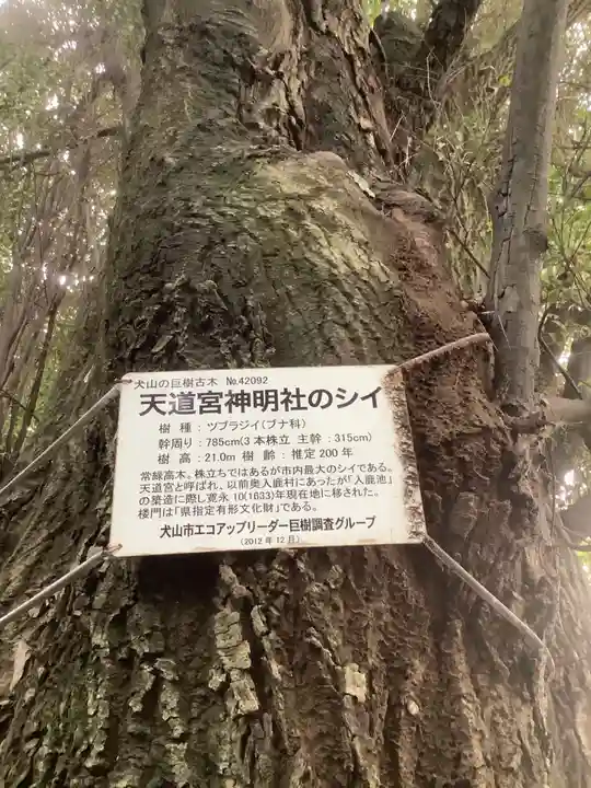 天道宮神明社(前原)(愛知県)