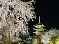東寺(教王護国寺)(京都府)