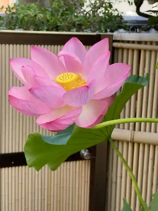 梅香寺(三重県)