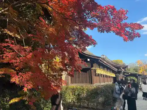 賀茂御祖神社（下鴨神社）(京都府)