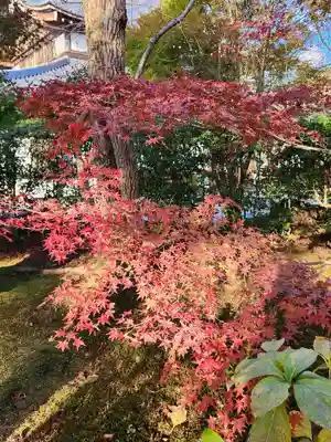 将軍塚青龍殿（青蓮院門跡）(京都府)