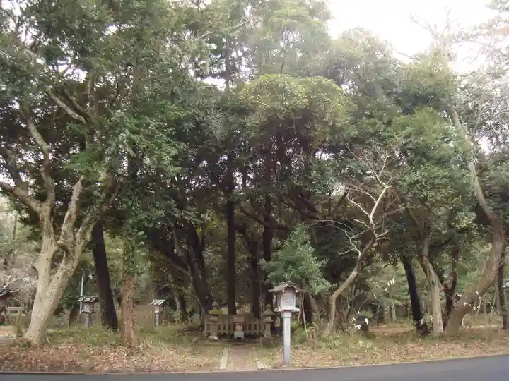 大洗磯前神社の自然