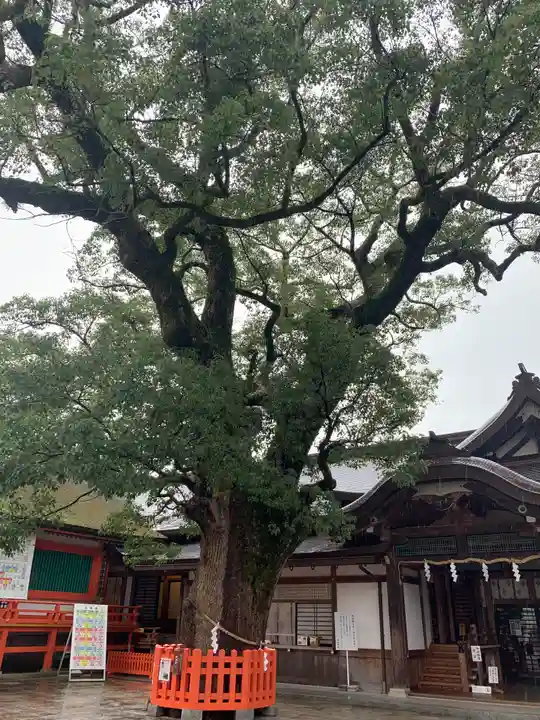 宇佐神宮の自然