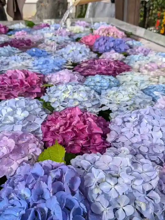 桜神宮(東京都)