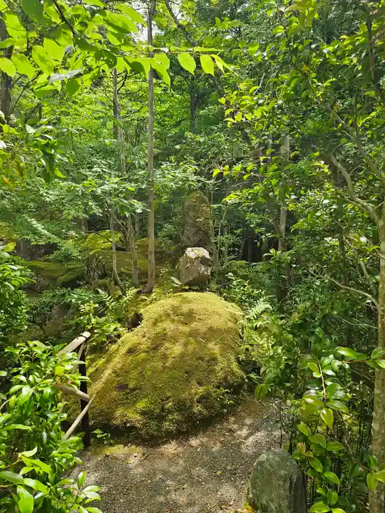 宝泉院(京都府)