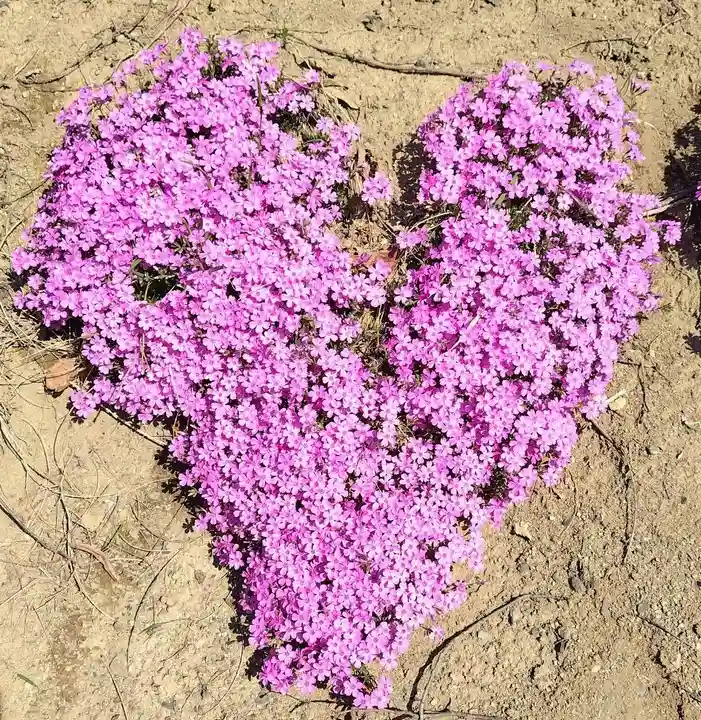 厚別神社(北海道)
