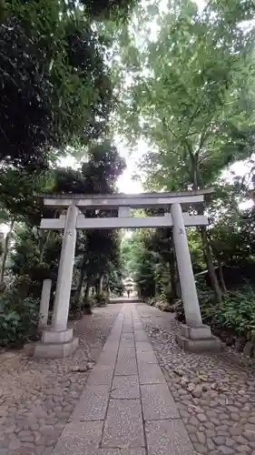 代々木八幡宮の鳥居