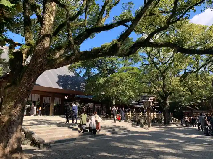 熱田神宮の自然