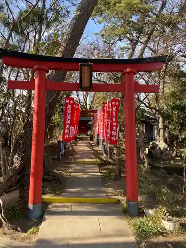 亀岡八幡宮（亀岡八幡神社）の鳥居