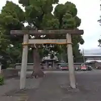 日吉浅間神社(静岡県)