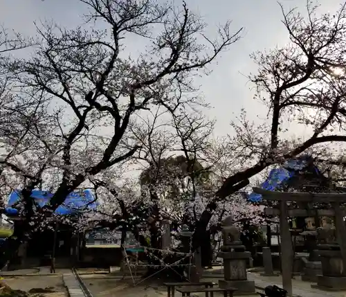 聖天山正圓寺の自然