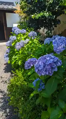 尊陽院(京都府)