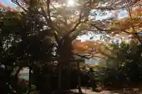 愛宕神社の鳥居