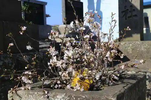 熊野福藏神社の手水