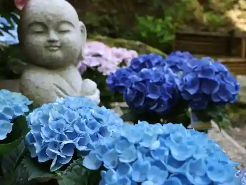 岡寺（龍蓋寺）(奈良県)