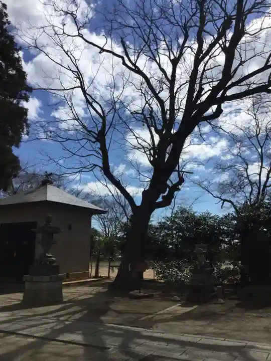 素鵞神社の自然