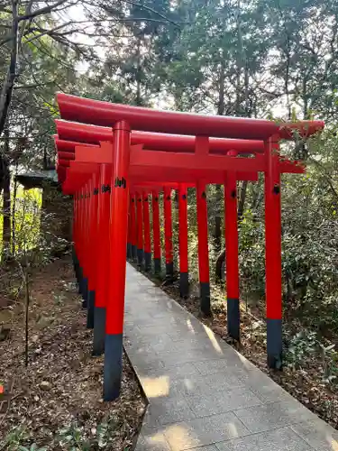 大麻比古神社の鳥居