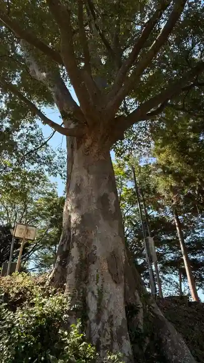 二俣神社(宮城県)