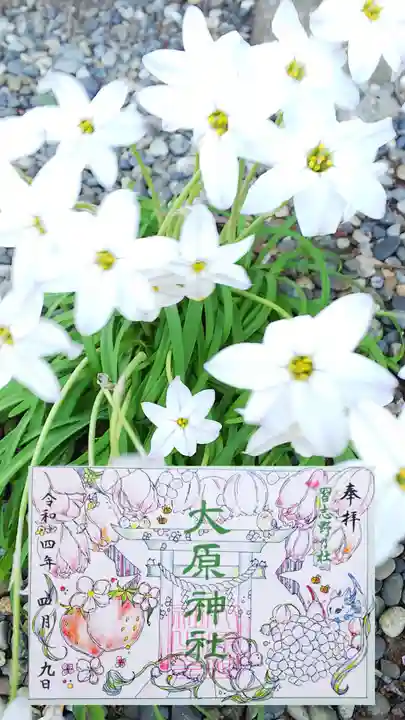 大宮・大原神社の御朱印