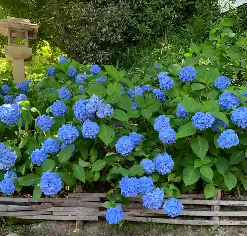 柳谷観音　楊谷寺の自然