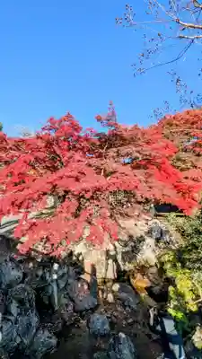 夫婦大國社(春日大社末社)(奈良県)