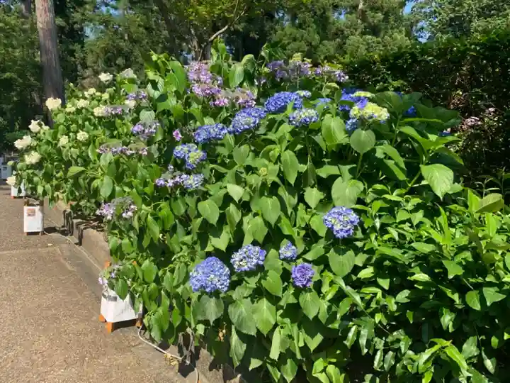 三室戸寺の自然