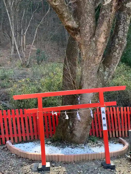出雲神社の自然
