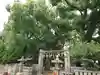 天神社(桑津天神社)の鳥居