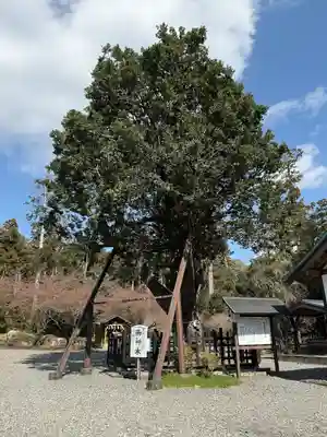 天宮神社(静岡県)