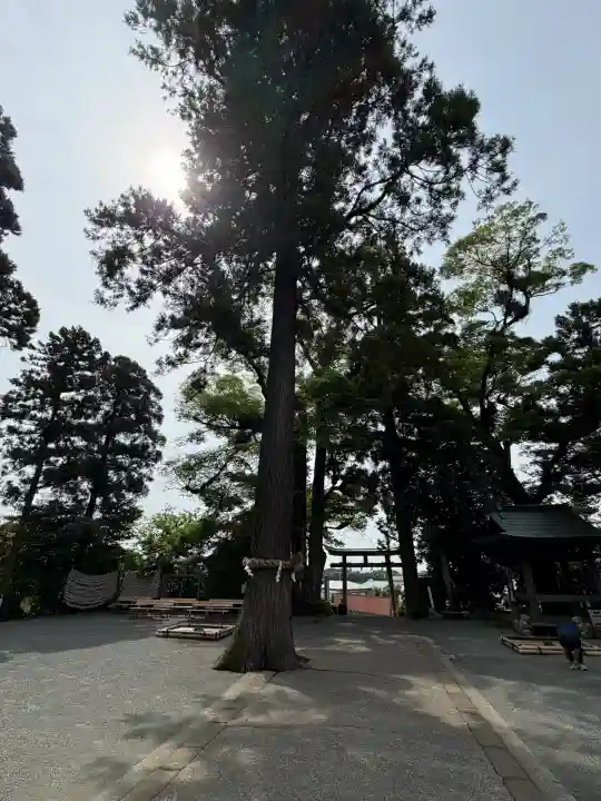 比々多神社(神奈川県)