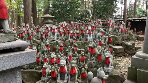 豊川閣　妙厳寺の狛犬