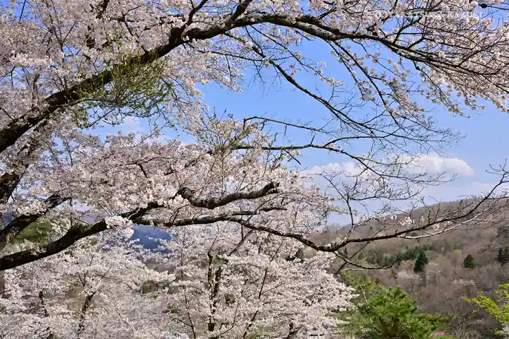 宝登山神社の自然