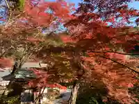 普門寺(切り絵御朱印発祥の寺)の自然